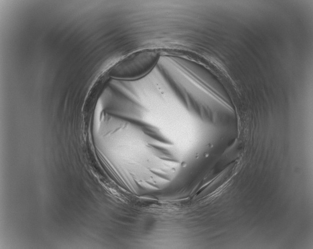X0000054420974200508192053