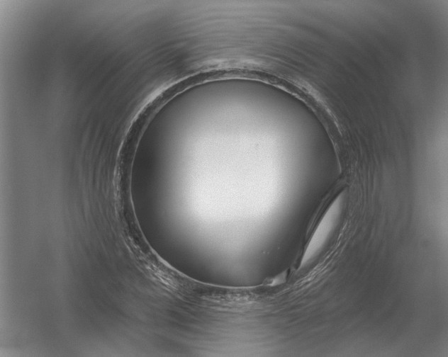 X0000054420975200508192053