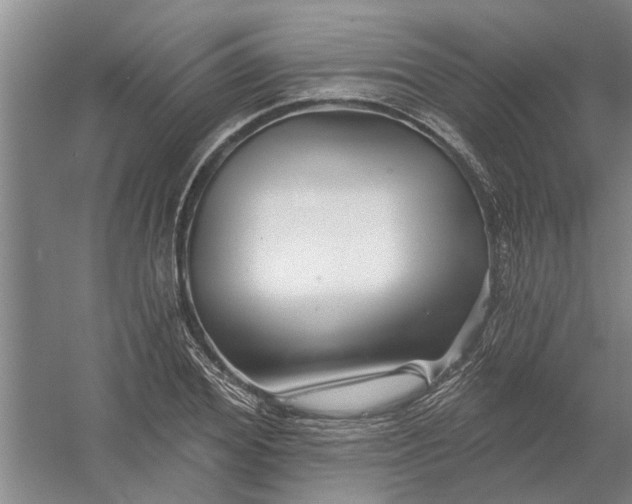 X0000054420980200508192053