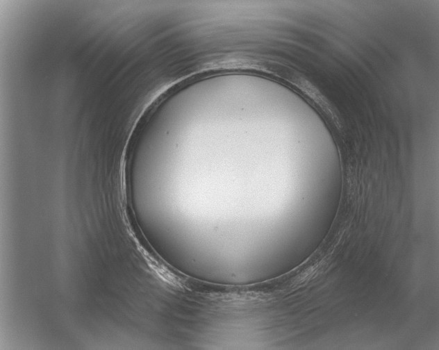 X0000054420988200508192053