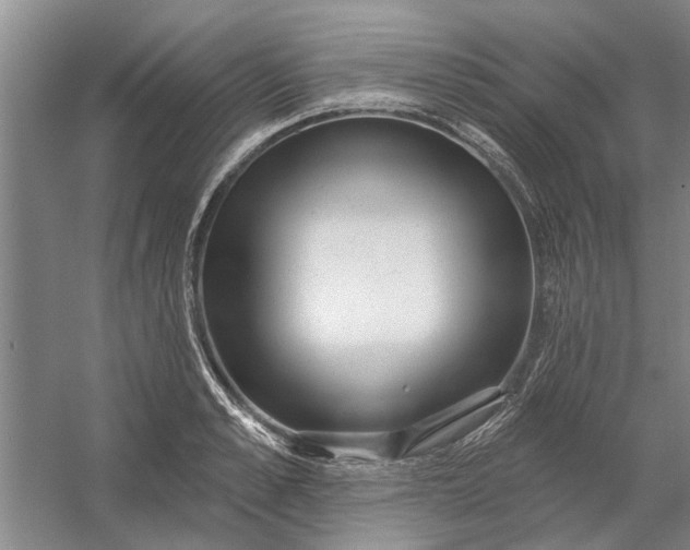 X0000054420989200508192053