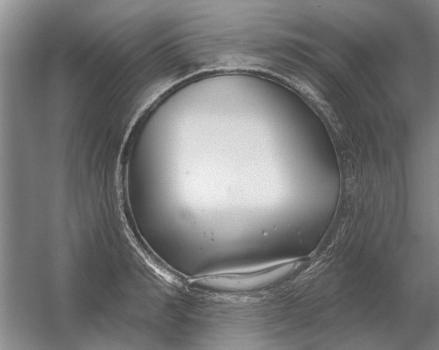 X0000054420990200508192053