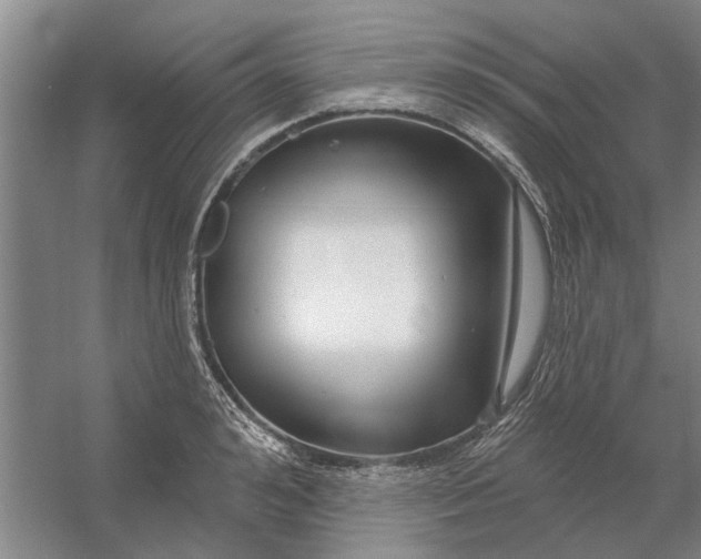 X0000054420992200508192053