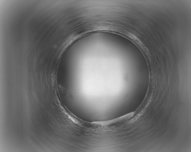 X0000054420993200508192052