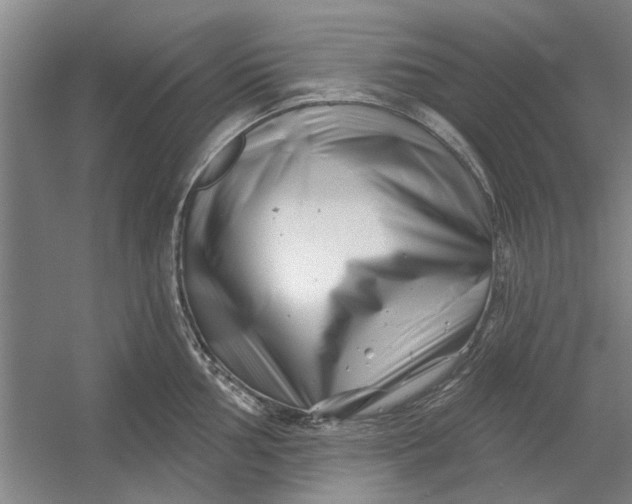 X0000054421002200508192052