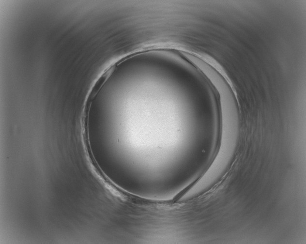 X0000054421005200508192052