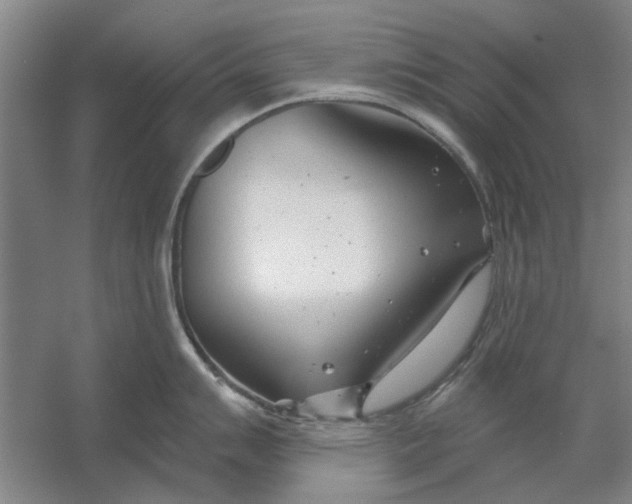 X0000054421007200508192052