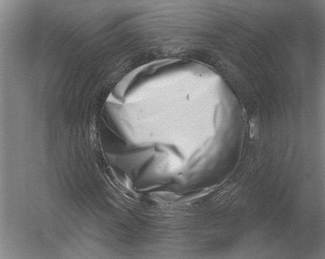 X0000054421011200508192051