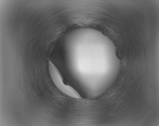 X0000054421012200508192051