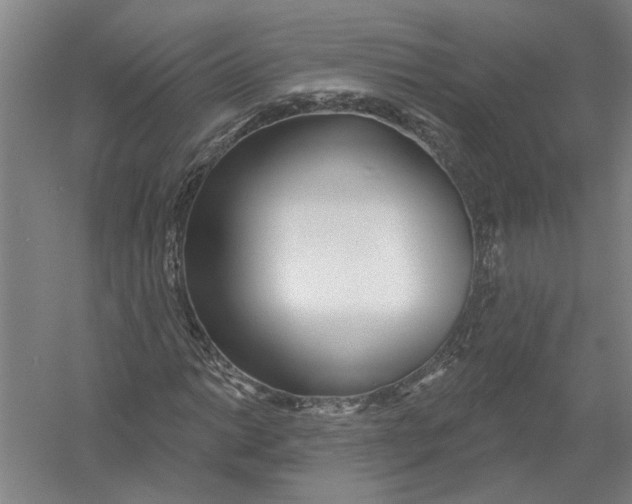 X0000054421014200508192052