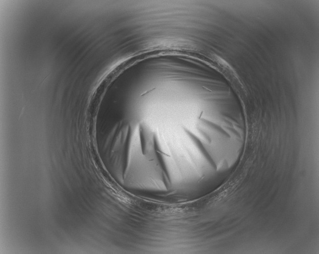 X0000054421019200508192052