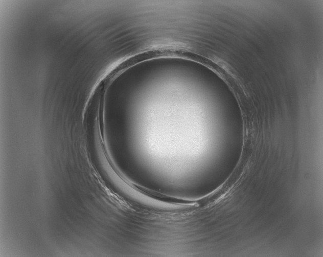 X0000054421022200508192052