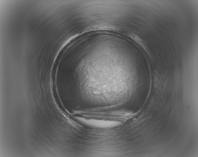 X0000054421024200508192052