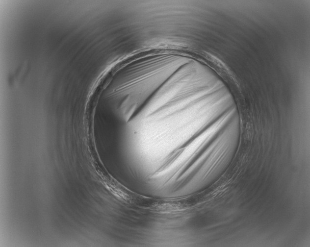 X0000054421027200508192052