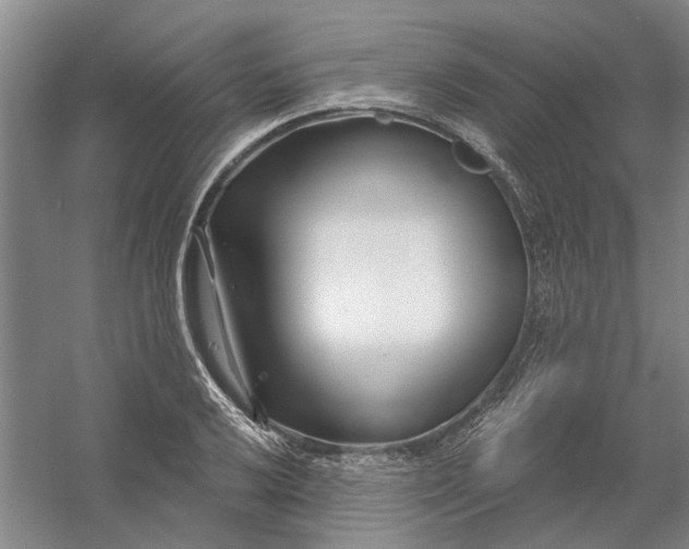 X0000054421032200508192052