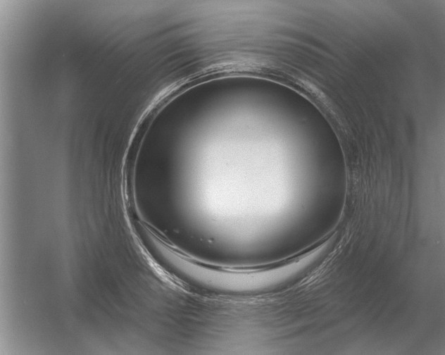 X0000054421034200508192052