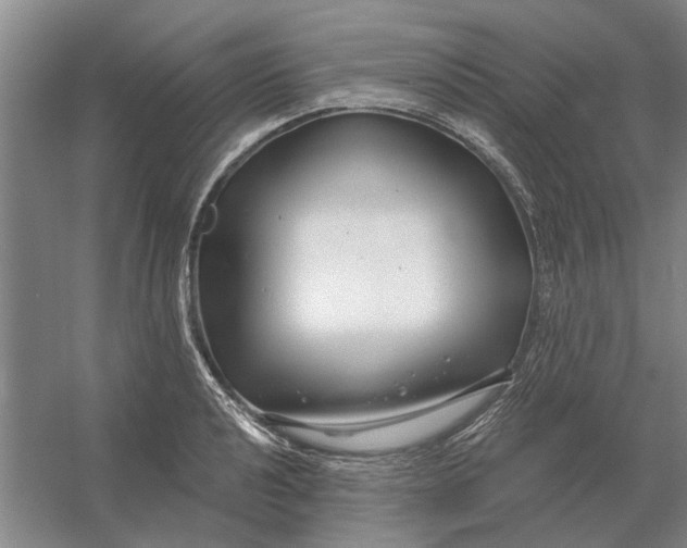 X0000054421040200508192052