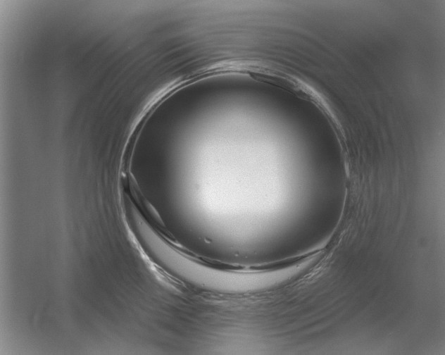 X0000054421050200508192052