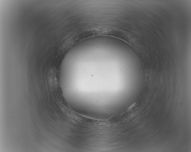 X0000054421058200508192051
