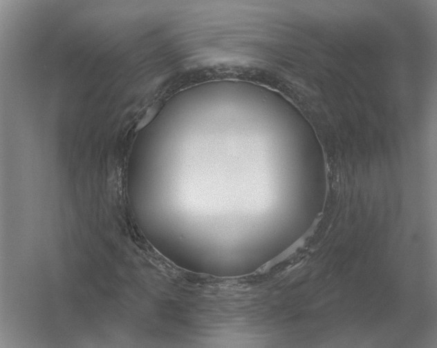 X0000054421061200508192051