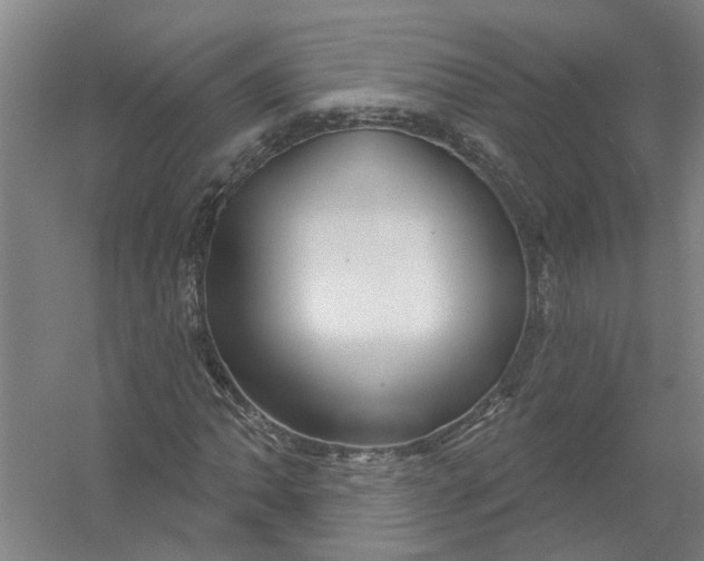 X0000054421062200508192051