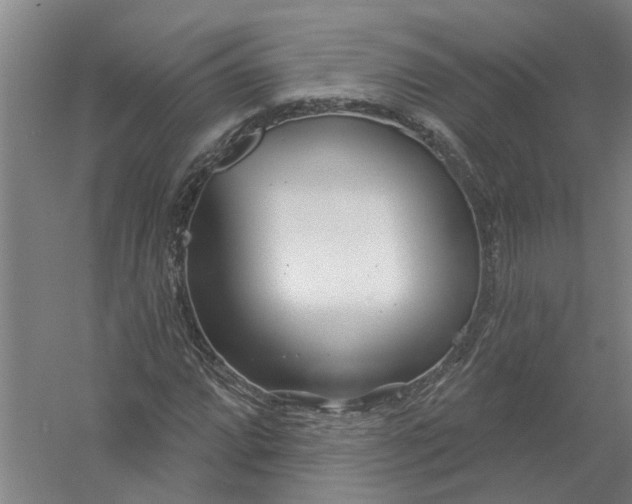 X0000054421064200508192051