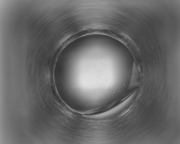 X0000054421065200508192051