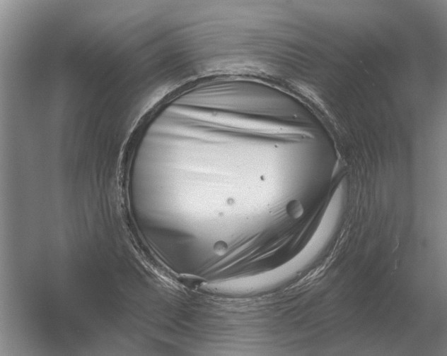 X0000054421071200508192051