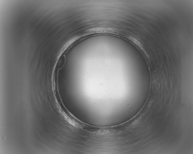 X0000054421082200508192051