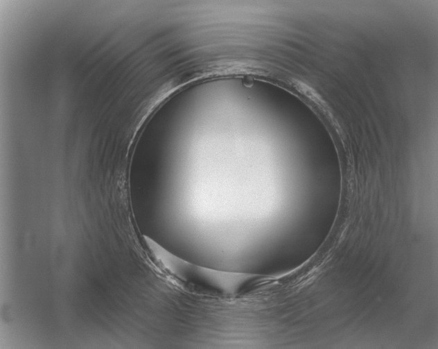X0000054421089200508192051