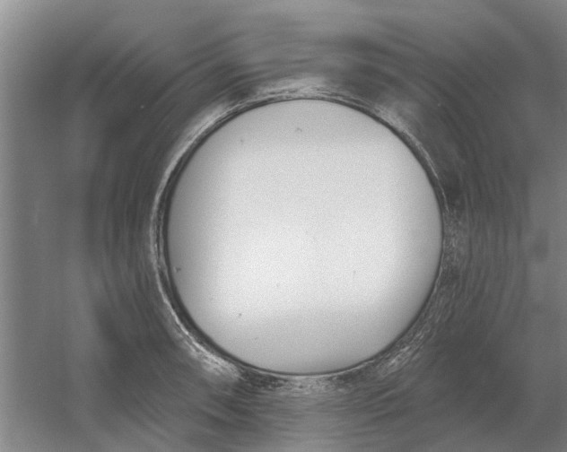 X0000054421090200508192051