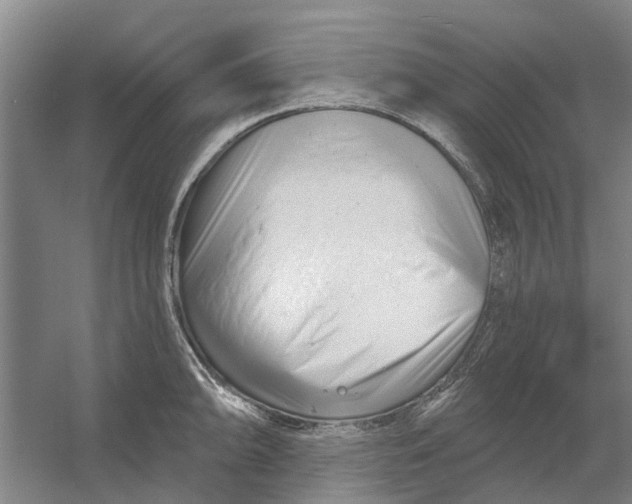 X0000054421094200508192051