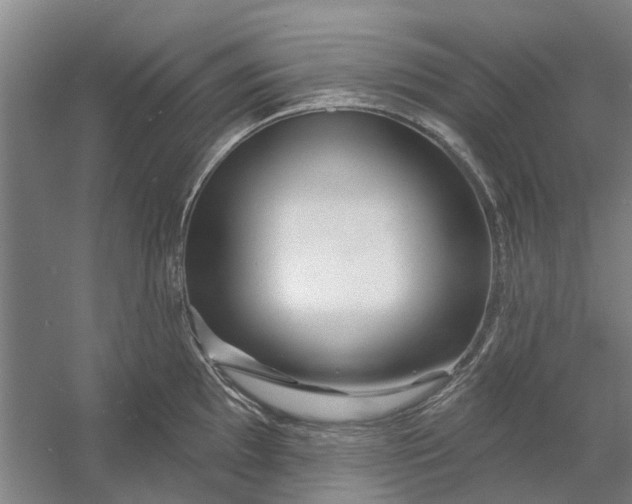 X0000054421097200508192051