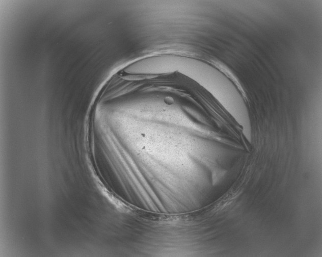 X0000054421099200508192051