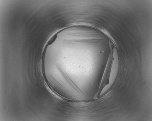 X0000054421100200508192051
