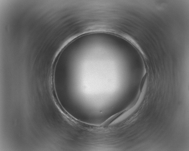 X0000054421101200508192051