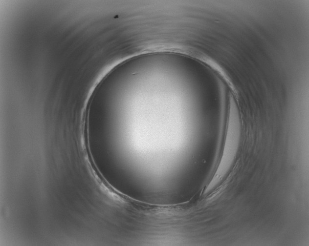 X0000054421102200508192051