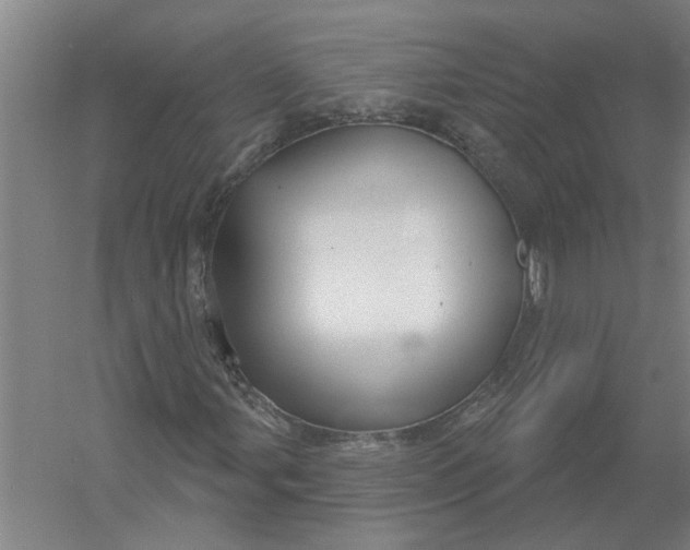 X0000054421107200508192050