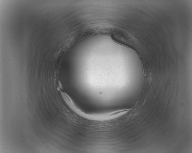 X0000054421108200508192050