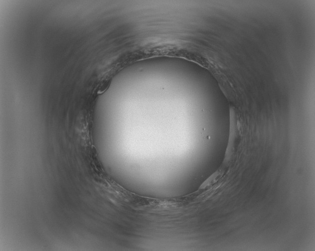 X0000054421109200508192050