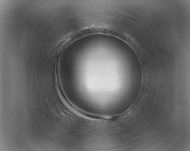 X0000054421110200508192050