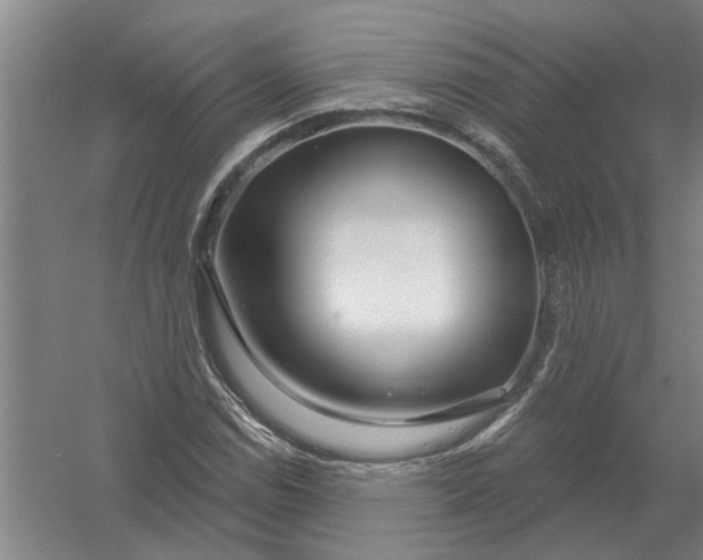 X0000054421114200508192050