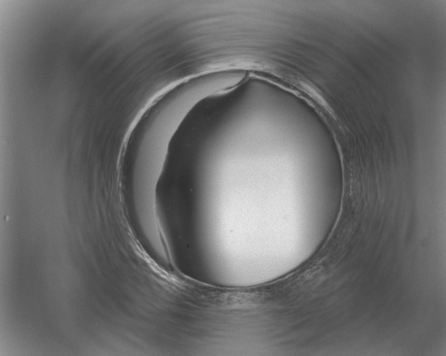 X0000054421116200508192050