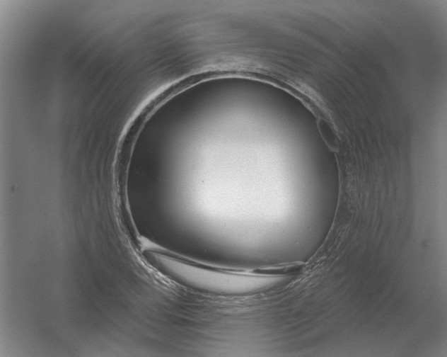 X0000054421120200508192050