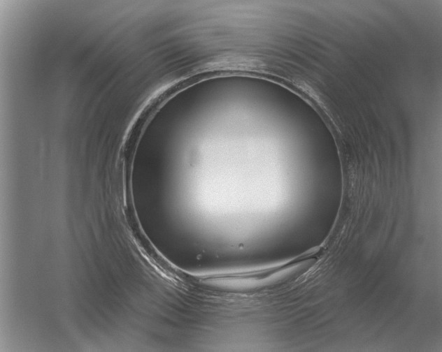 X0000054421123200508192050