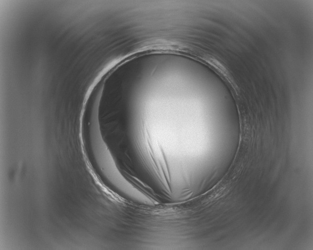 X0000054421128200508192050