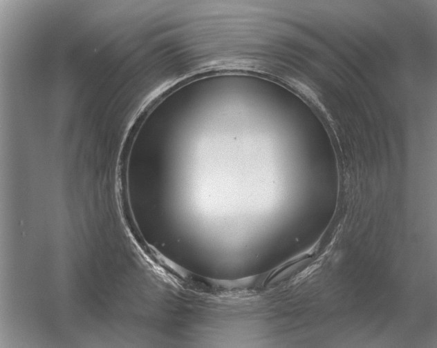 X0000054421133200508192050