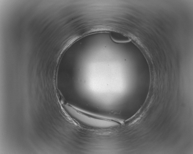 X0000054421137200508192050