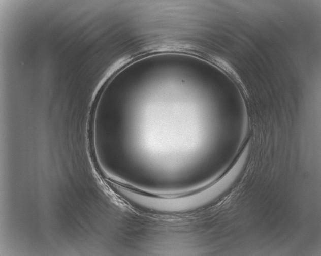 X0000054421138200508192050