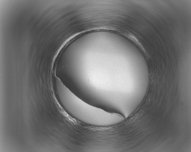 X0000054421140200508192050